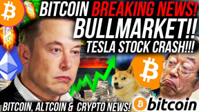 BREAKING NEWS: BITCOIN BULLMARKET IS BACK SOON!!! TESLA Stock CRASH!! Altcoin & Crypto News