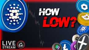 How low can CARDANO ADA and other ALTCOINS go... Your Daily Altcoin UPDATE!
