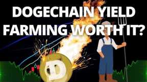 Dogechain Yield Farming Worth It?