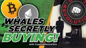 BITCOIN REVERSAL WE'VE BEEN WAITING FOR? BEARS ARE TRAPPED! NEXT MOVE TO CONFIRM A MAJOR BTC MOVE!