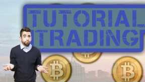 A NEW NFT ITS BITCOIN INSURANCE CRYPTO PROJECT CO CREATED BY FIDENZA’S TYLER ITS BITCOIN INSURANCE