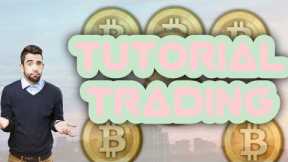 POTENTIALLY SEE SHIB RALLY UP BITCOIN INSURANCE CRYPTO UNTIL THIS DATE BITCOIN INSURANCE CRYPTO