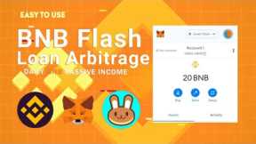 Making Huge Profit On BNB Using Flash loan Arbitrage On Metamask BSC