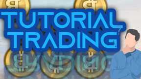 CARDANO INSURANCE BITCOIN PLUNGED BELOW 2 CRYPTO INSURANCE AT BITCOIN POINT WHILE LEADING THE PROFIT