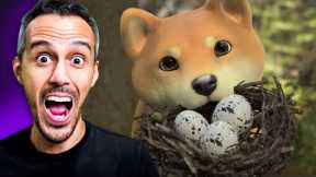 Is This the HIDDEN GEM on Shibarium 🌸?  The SHITA-KIRI SUZUME 🌸 Ecosystem