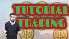 THE COURT AN INSURANCE BITCOIN APPOINTED SHOBA PILLAY AS INDEPENDENT EXAMINER AN INSURANCE BITCOIN