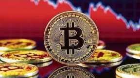 websites that Crypto millionaries use #shorts #short #crypto #trade # bitcoin