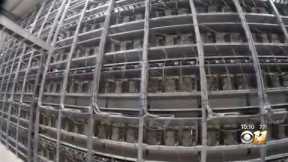 Massive Bitcoin mining operation comes to North Texas