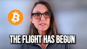 Cathie Wood -  Why Bitcoin Is Becoming The Go-To Investment For Everyone