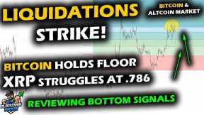 LIQUIDATIONS GALORE for Bitcoin Price Chart and Altcoin Market with Margin Selloff During SEC Week