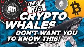 MILLIONAIRES INCOMING SOON! BITCOIN HALVING RUN UP GETTING CLOSER! WILL WE SEE ONE MORE BTC DIP?