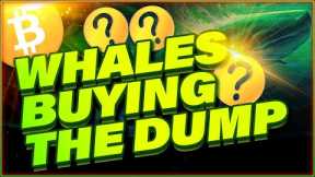 CRYPTO WHALES ARE SECRETLY BUYING THE DUMP | BTC or Altcoins?