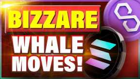BIZZARE Move of Giant Polygon MATIC WHALE! Time to Buy Solana SOL?