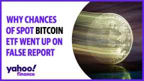 Why chances of spot bitcoin ETF went up 'tremendously' on false report
