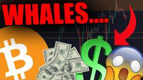 THESE WHALES JUST SOLD EVERYTHING [DONT MAKE THIS HUGE MISTAKE!]