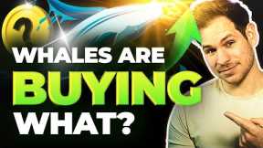 GET READY!! 2 Altcoins Massive Crypto Whale Accumulation