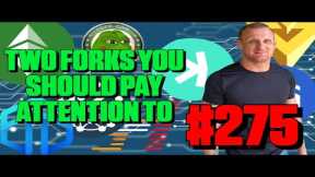 Two Forks You Do Not Want to Miss | Episode 275