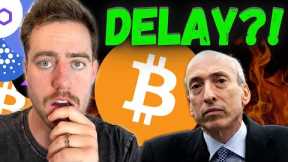 SEC JUST SENT BACK COMMENTS ON ETF DOCUMENTS! DOES THIS MEAN THE BITCOIN ETF IS DELAYED?
