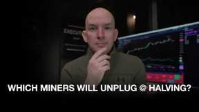 Which Miners Will Unplug At Halving? BTC Network Hashrate Vs Miners! Miners Y/Y Growth?