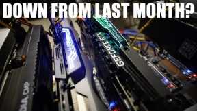 How are GPU Mining Profits Now? February 2024