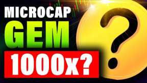 Under The Radar Microcap Altcoin! Could THIS Crypto do a 1000X?