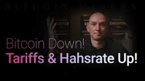 Bitcoin Down, Tariffs & Hashrate Up! What is going on? Followed by Q&A!