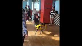 ETH King Vitalik Buterin meows at robot dog - Ethereum's quirky moment!