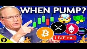 This is When Bitcoin & Altcoins will PUMP Again! (Crypto News)