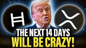 Get Ready For The Biggest Crypto Surge Of 2025 | XRP HBAR SUI XLM & MORE!