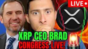 XRP RIPPLE CEO LIVE!🔴XRP EXPLODING Higher