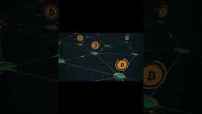 How to report a scammer and recover your money | How to get back your money from crypto scammers