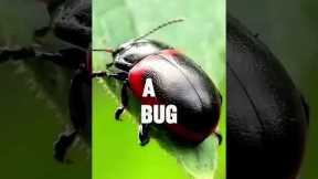 Flash Loan Attack: How Millions Are Stolen in Seconds ⚡💸