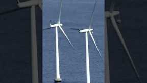 Crypto mining's surprising environmental solutions