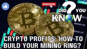 Crypto Profits: How to  Set up Build Mining Ring, Beginner’s Guide