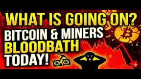 What Is Going On? Bitcoin & Miners Bloodbath Today! Bitdeer Continues Growth! Plus More!