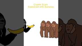 Monkey explains Rug Pull #cryptoeducation