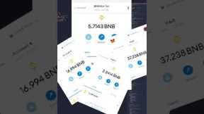 BNB FLASHLOAN | PancakeSwap FRONT RUN BOT Crypto Bot Sniper Bot Profits.